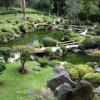 Jardín japonés, Bosque Los Colomos